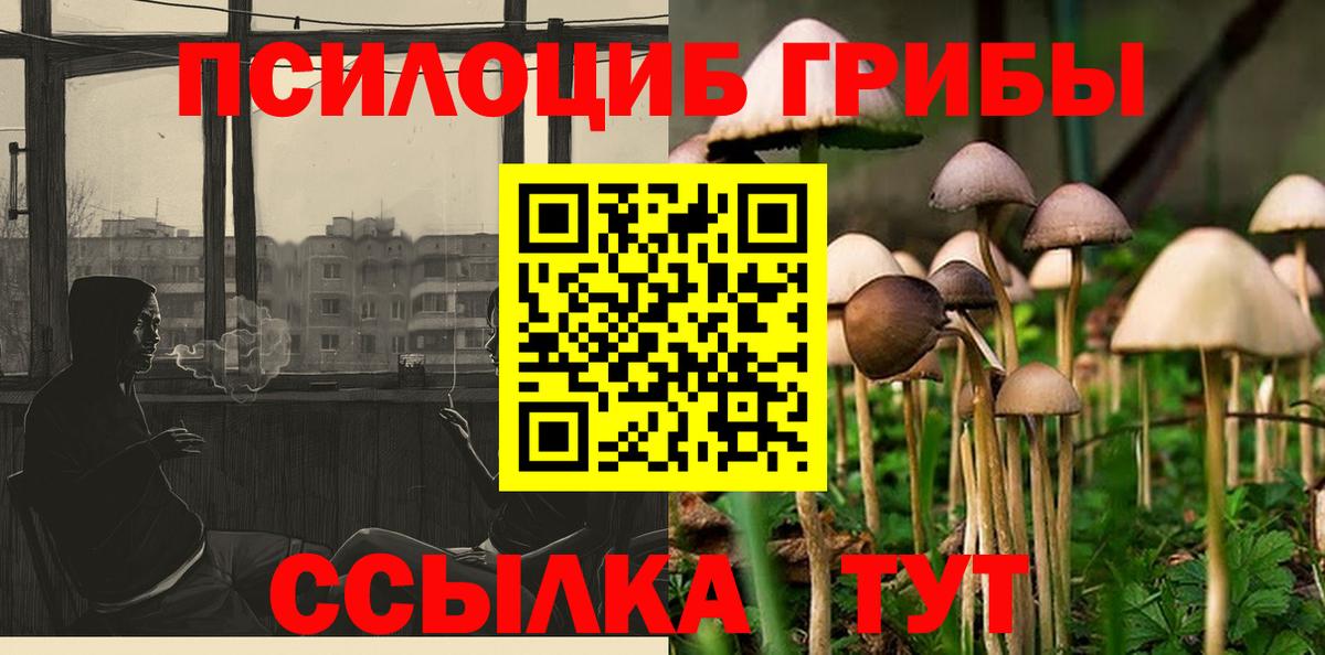 Галлюциногенные грибы Cubensis  Псилоцибиновые грибы GOLDEN TEACHER  хочу   Знаменск  Вход с VPN 